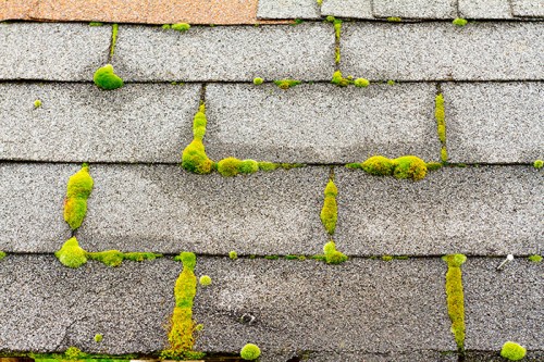 Preventing Roof Damage Due to Fallen Leaves in Toronto
