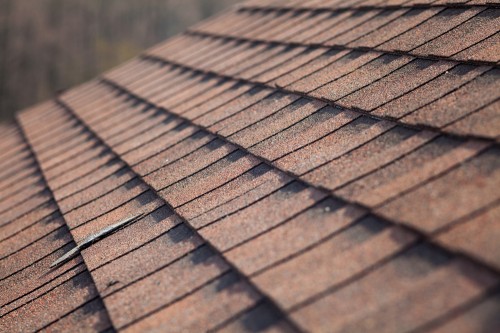 Steps to Clean Your Roof in Spring