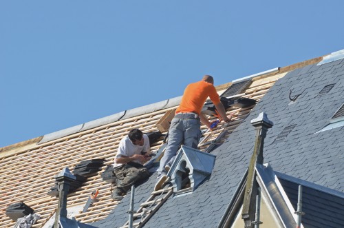 Preventing Roof Damage Due to Fallen Leaves in Toronto